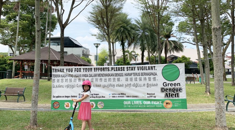 Dengue Fever Green Alert